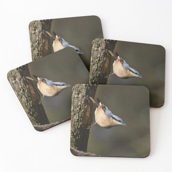 Item preview, Eurasian Nuthatch Descending Tree Trunk With Food designed and sold by Shanguai.
