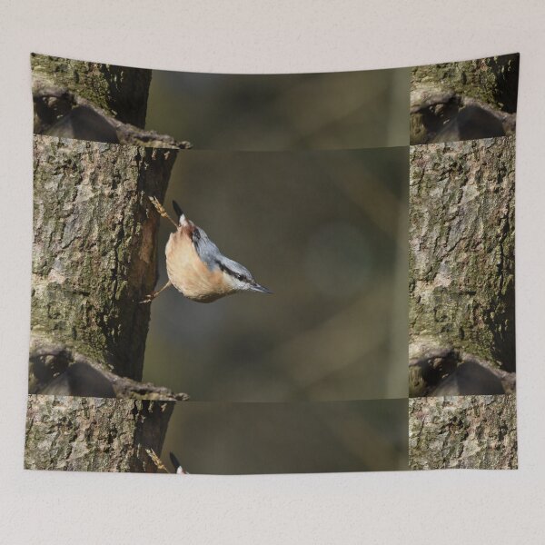 Item preview, Eurasian Nuthatch Descending Tree Trunk With Food designed and sold by Shanguai.