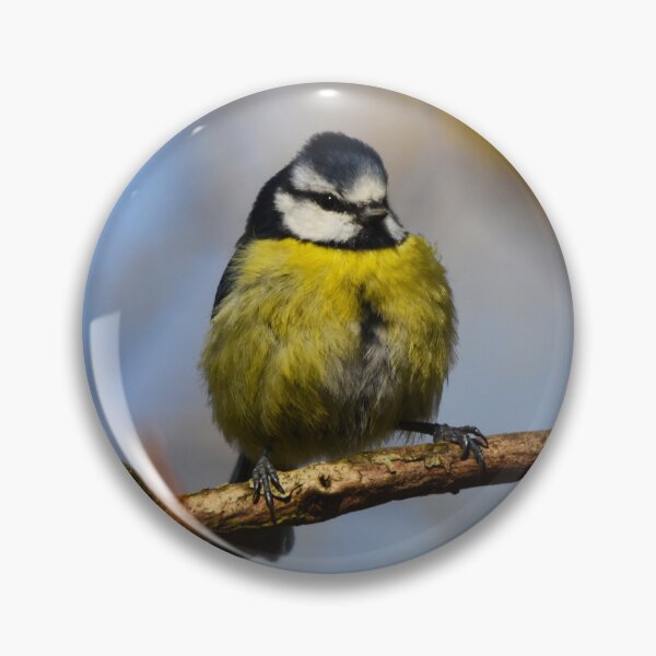 Item preview, Blue Tit Perched on a Bare Winter Branch designed and sold by Shanguai.