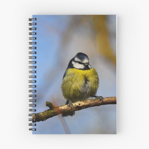 Item preview, Blue Tit Perched on a Bare Winter Branch designed and sold by Shanguai.