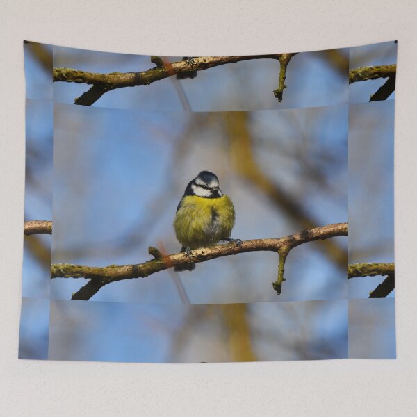 Item preview, Blue Tit Perched on a Bare Winter Branch designed and sold by Shanguai.