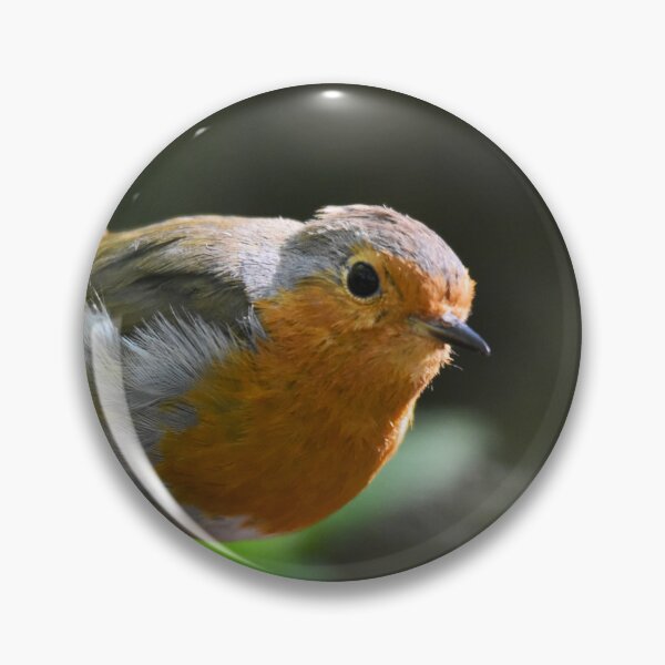 Item preview, European Robin Perched on a Mossy Woodland Log designed and sold by Shanguai.