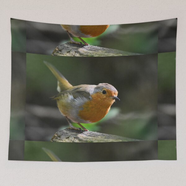 Item preview, European Robin Perched on a Mossy Woodland Log designed and sold by Shanguai.
