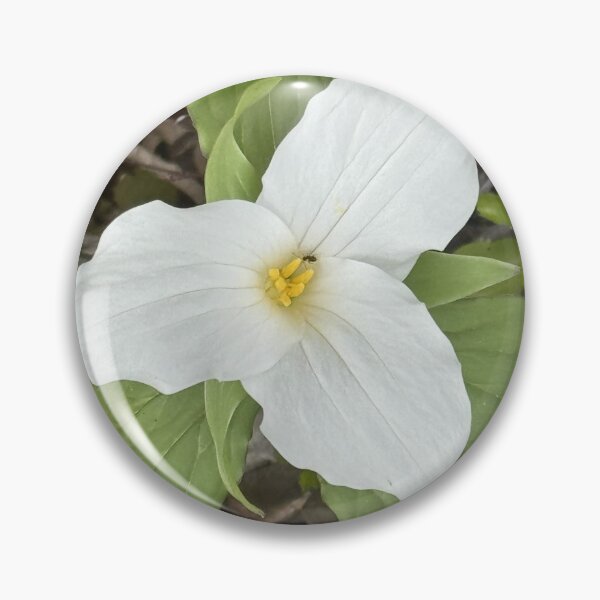Item preview, Trillium and a Wee Bug designed and sold by Mychaila's Creations.