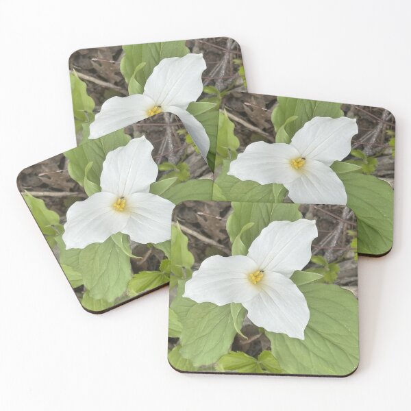 Item preview, Trillium and a Wee Bug designed and sold by Mychaila's Creations.