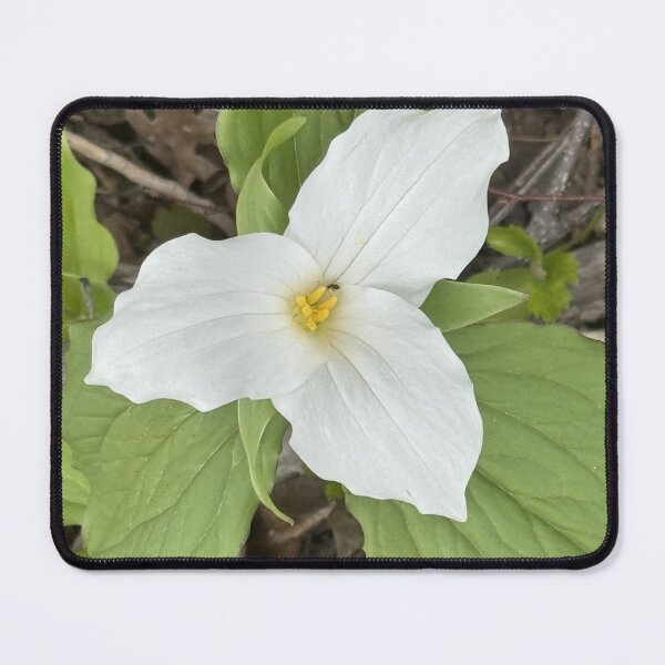 Item preview, Trillium and a Wee Bug designed and sold by Mychaila's Creations.