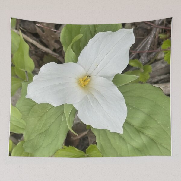 Item preview, Trillium and a Wee Bug designed and sold by Mychaila's Creations.