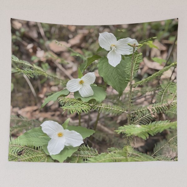 Item preview, Triple Trillium designed and sold by Mychaila's Creations.