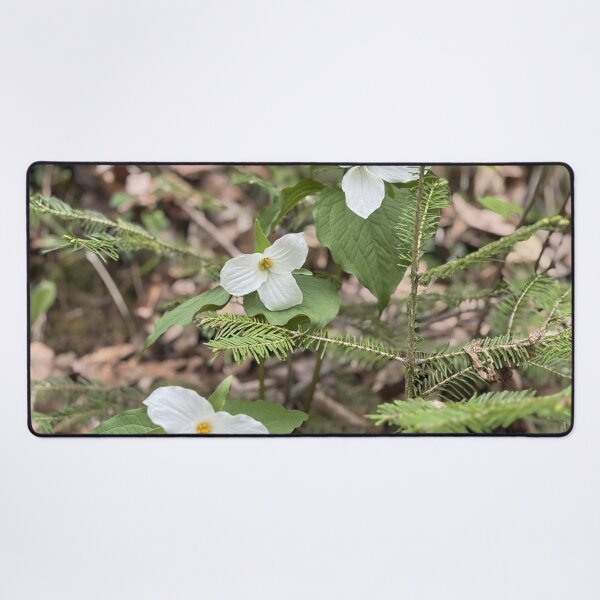 Item preview, Triple Trillium designed and sold by Mychaila's Creations.