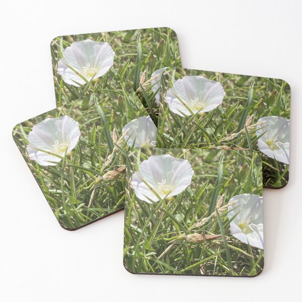 Item preview, Two Field Bindweeds designed and sold by Mychaila's Creations.