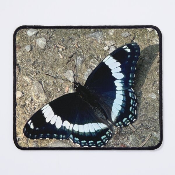 Item preview, White Admiral Butterfly designed and sold by Mychaila's Creations.