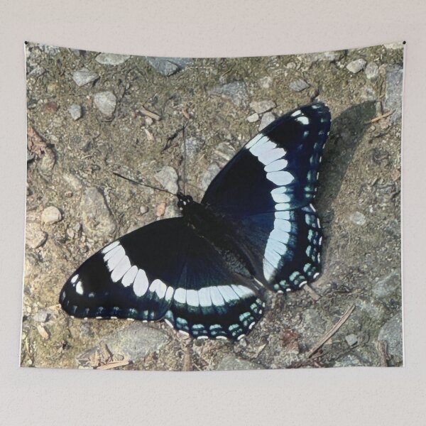 Item preview, White Admiral Butterfly designed and sold by Mychaila's Creations.