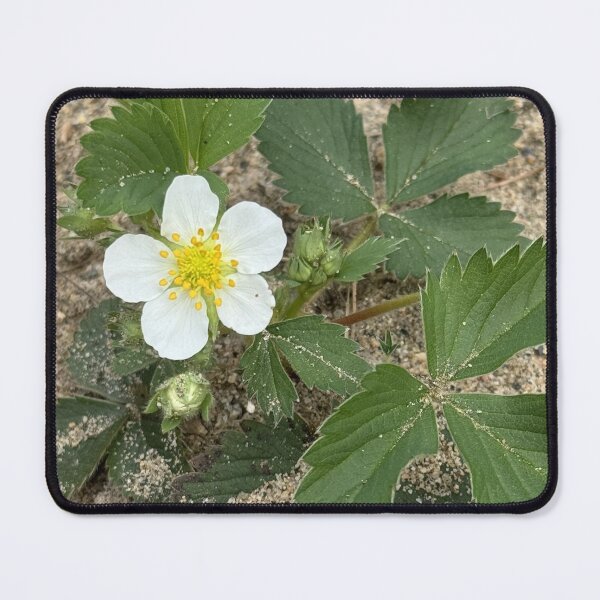 Item preview, Wild Strawberry designed and sold by Mychaila's Creations.