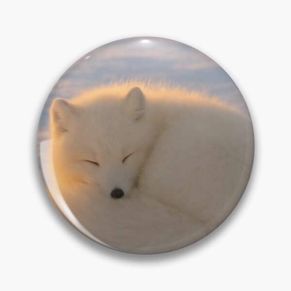 Item preview, Sleeping Arctic Fox in Snow – Peaceful Winter Wildlife Art designed and sold by Jesus-istheway.