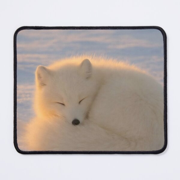 Item preview, Sleeping Arctic Fox in Snow – Peaceful Winter Wildlife Art designed and sold by Jesus-istheway.