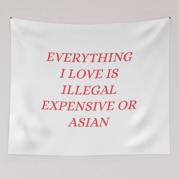 Item preview, everything i love is illegal expensive or Asian designed and sold by Dondonmart.