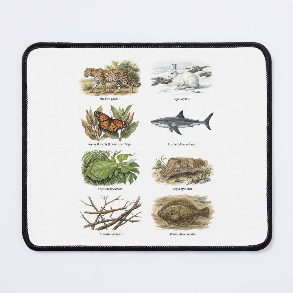 Item preview, Animal Camouflage designed and sold by ArunDandiboina.
