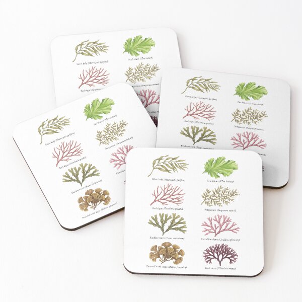 Item preview, Marine Algae and Seaweed designed and sold by ArunDandiboina.