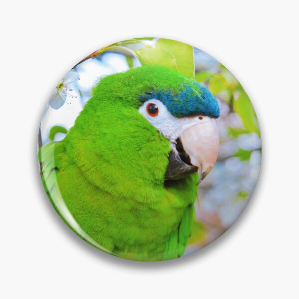 Item preview, Noble Macaw designed and sold by Carissariley.
