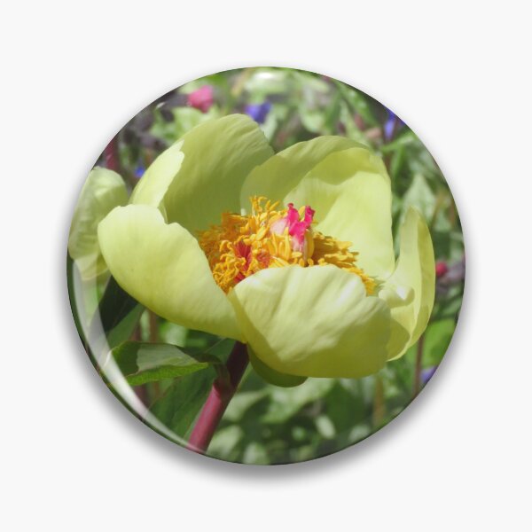 Item preview, Paeonia designed and sold by wiggyofipswich.