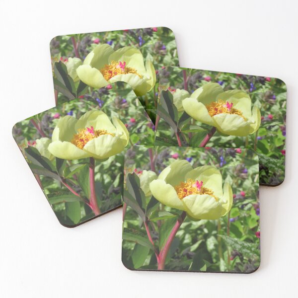 Item preview, Paeonia designed and sold by wiggyofipswich.