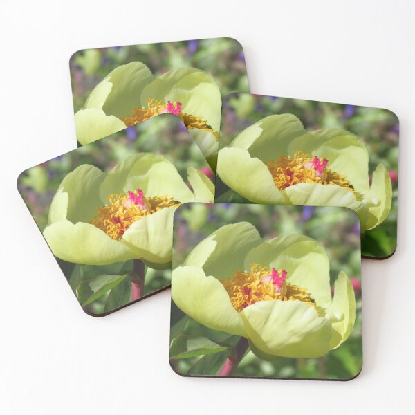 Item preview, Sheer Beauty - A Primrose Yellow Paeonia designed and sold by wiggyofipswich.