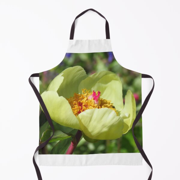 Item preview, Sheer Beauty - A Primrose Yellow Paeonia designed and sold by wiggyofipswich.