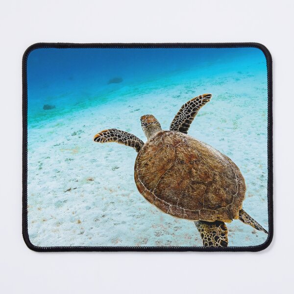 Item preview, serene sea turtle swimming in clear blue tropical ocean underwater  designed and sold by AESTHETIC-FLAIR.