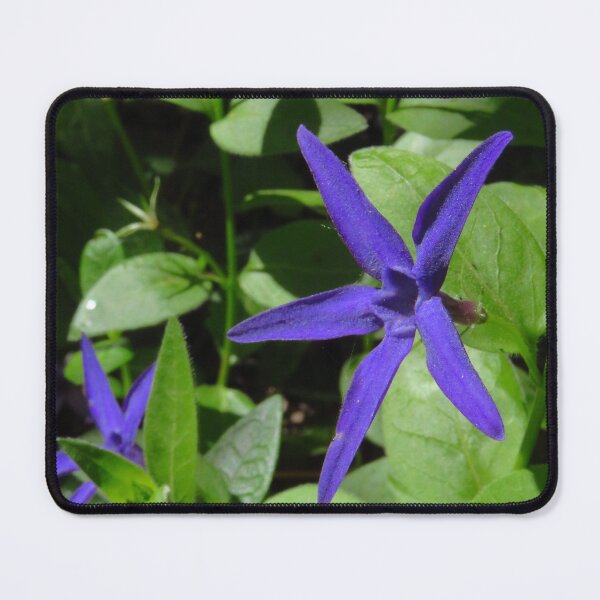 Item preview, Purple Star Shaped Periwinkle designed and sold by wiggyofipswich.