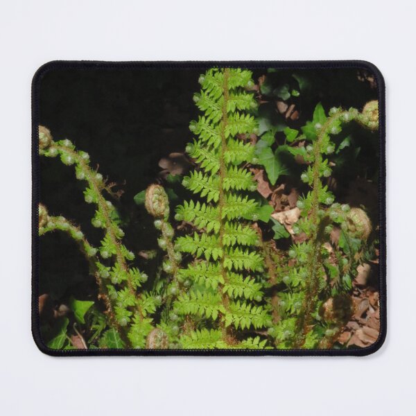 Item preview, Knobbly Fern designed and sold by wiggyofipswich.