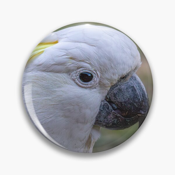 Item preview, Sulphur Crested Cockatoo designed and sold by stephendean.