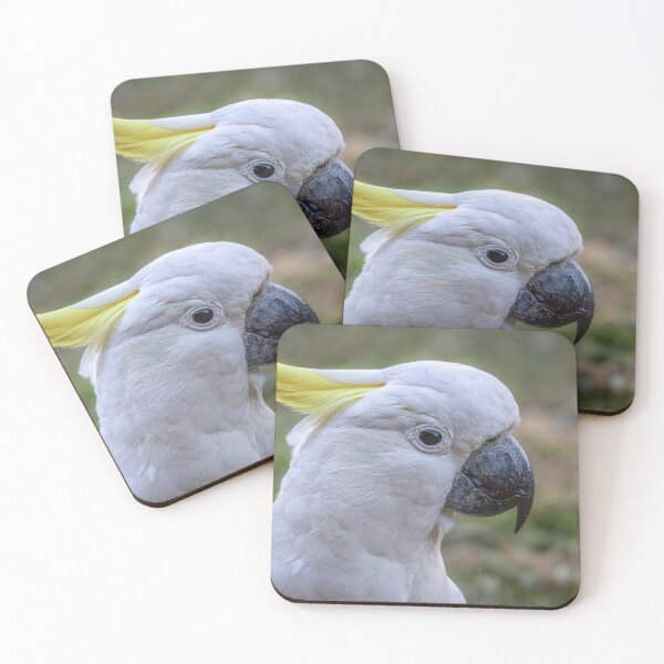 Item preview, Sulphur Crested Cockatoo designed and sold by stephendean.
