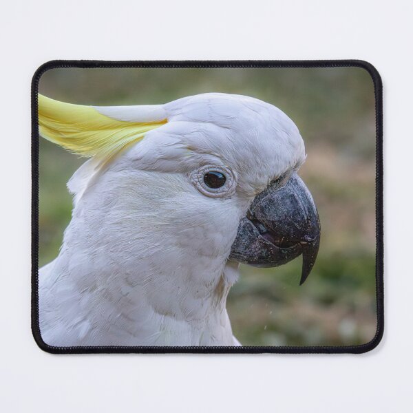 Item preview, Sulphur Crested Cockatoo designed and sold by stephendean.