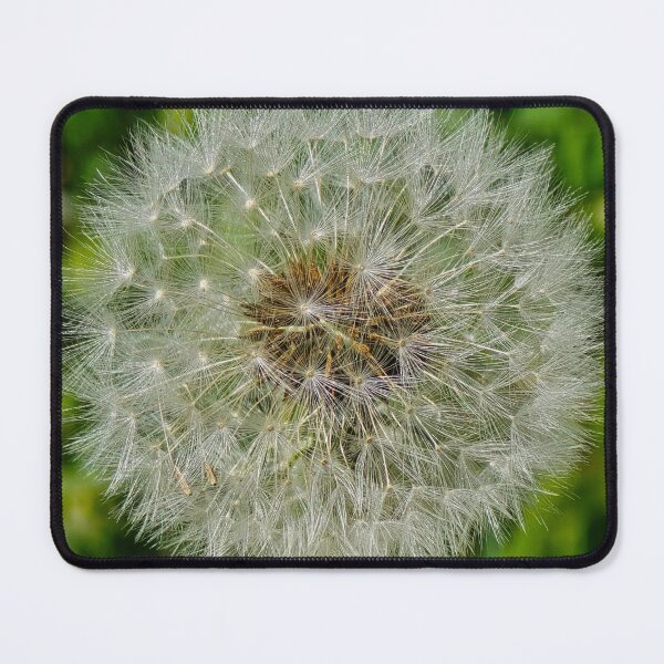 Item preview, dandelion designed and sold by 3oner.