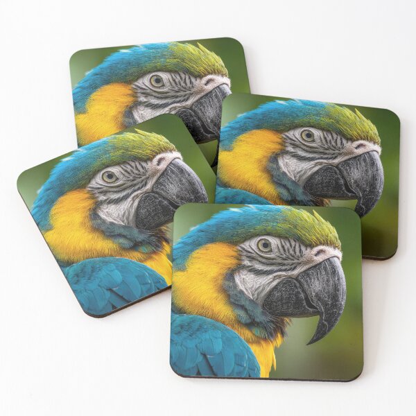 Item preview, Bird resting on branch during day designed and sold by anytka.