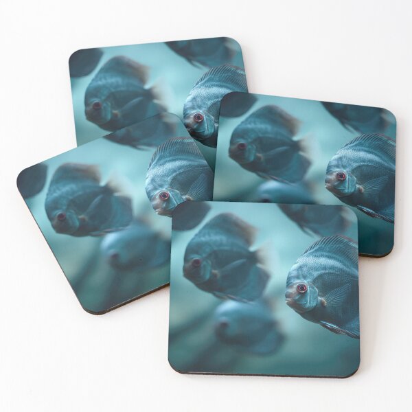 Item preview, Fish swim in an aquarium display designed and sold by anytka.