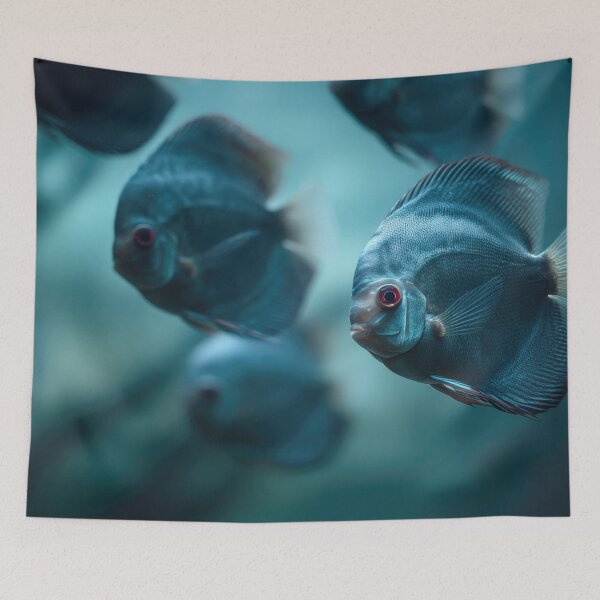 Item preview, Fish swim in an aquarium display designed and sold by anytka.