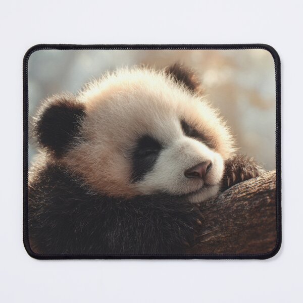Item preview, Panda naps on a branch designed and sold by anytka.