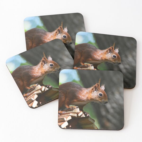 Item preview, Red Squirrel Perched Alertly on a Wooden Feeder designed and sold by Shanguai.