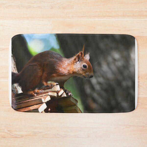 Item preview, Red Squirrel Perched Alertly on a Wooden Feeder designed and sold by Shanguai.