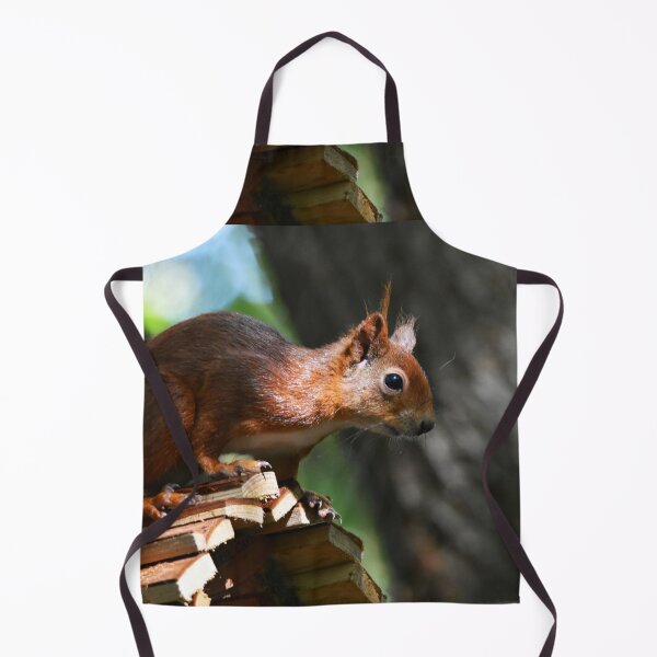 Item preview, Red Squirrel Perched Alertly on a Wooden Feeder designed and sold by Shanguai.