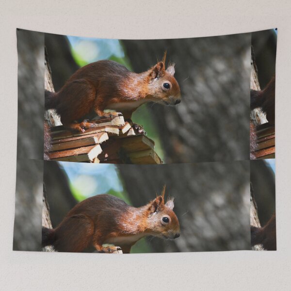 Item preview, Red Squirrel Perched Alertly on a Wooden Feeder designed and sold by Shanguai.