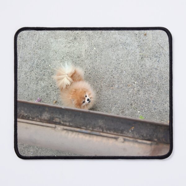 Item preview, Small dog designed and sold by mingbuildingart.