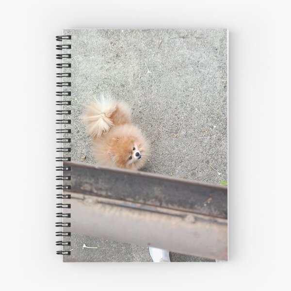 Item preview, Small dog designed and sold by mingbuildingart.