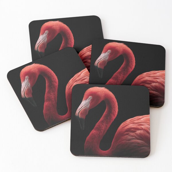 Item preview, Flamingo still in dark designed and sold by anytka.