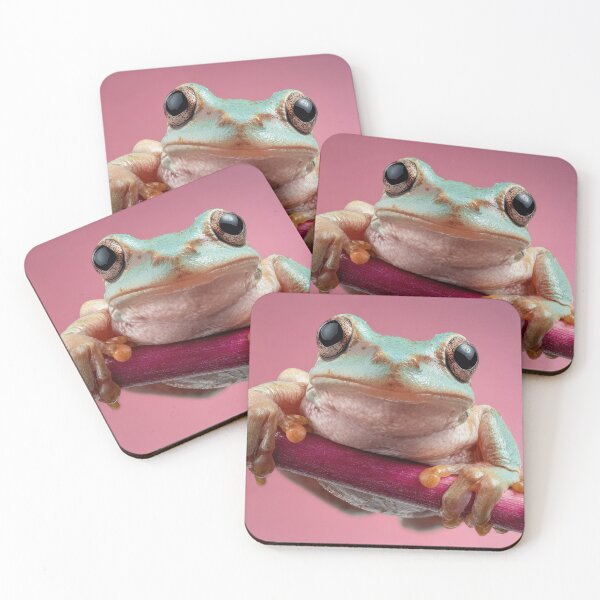 Item preview, Frog resting on a stick in a studio designed and sold by anytka.