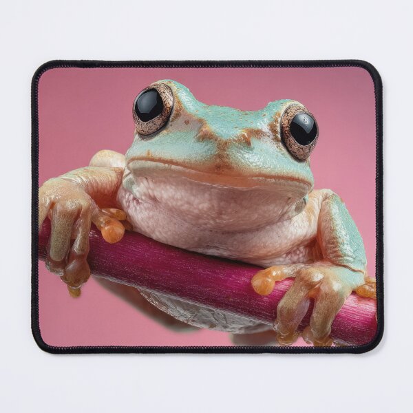 Item preview, Frog resting on a stick in a studio designed and sold by anytka.