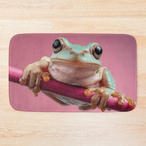 Aperçu de l'œuvre Grenouille se reposant sur un bâton dans un studio créée et vendue par anytka.