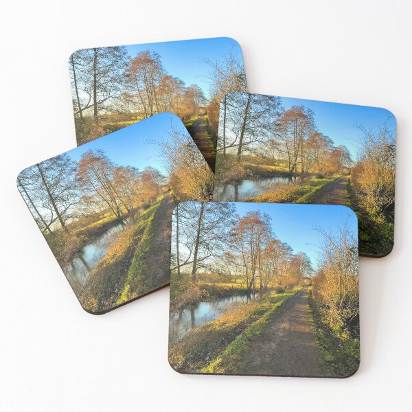 Item preview, Kingswood (Cotswolds) Ash Path designed and sold by Graz-Photos.
