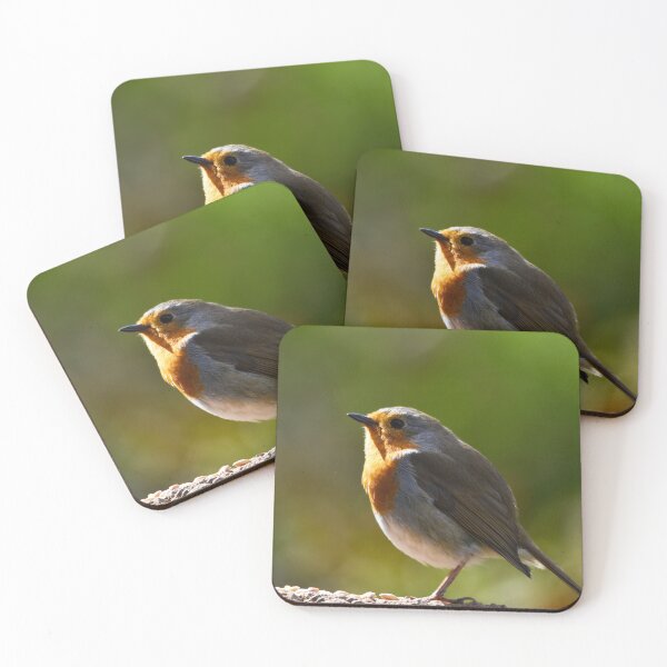 Item preview, European Robin Glowing in Warm Golden Evening Light designed and sold by Shanguai.